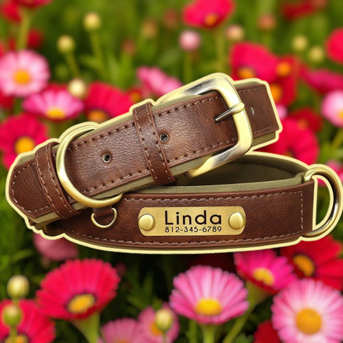 Collier personnalisable cuir chien