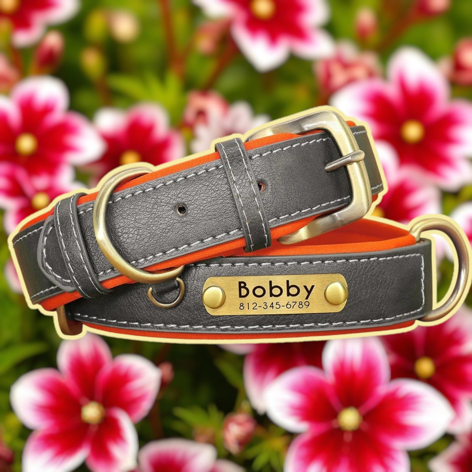 Collier personnalisable cuir chien