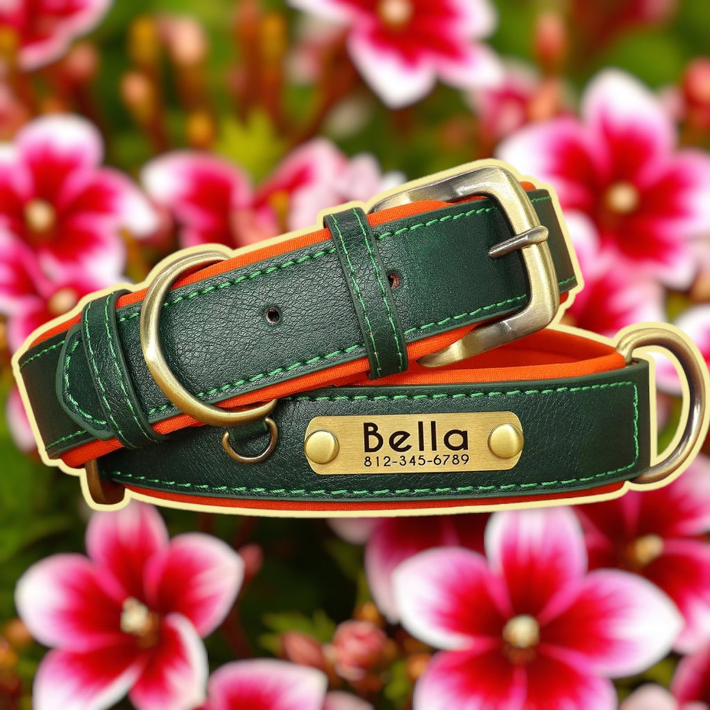 Collier personnalisable cuir chien