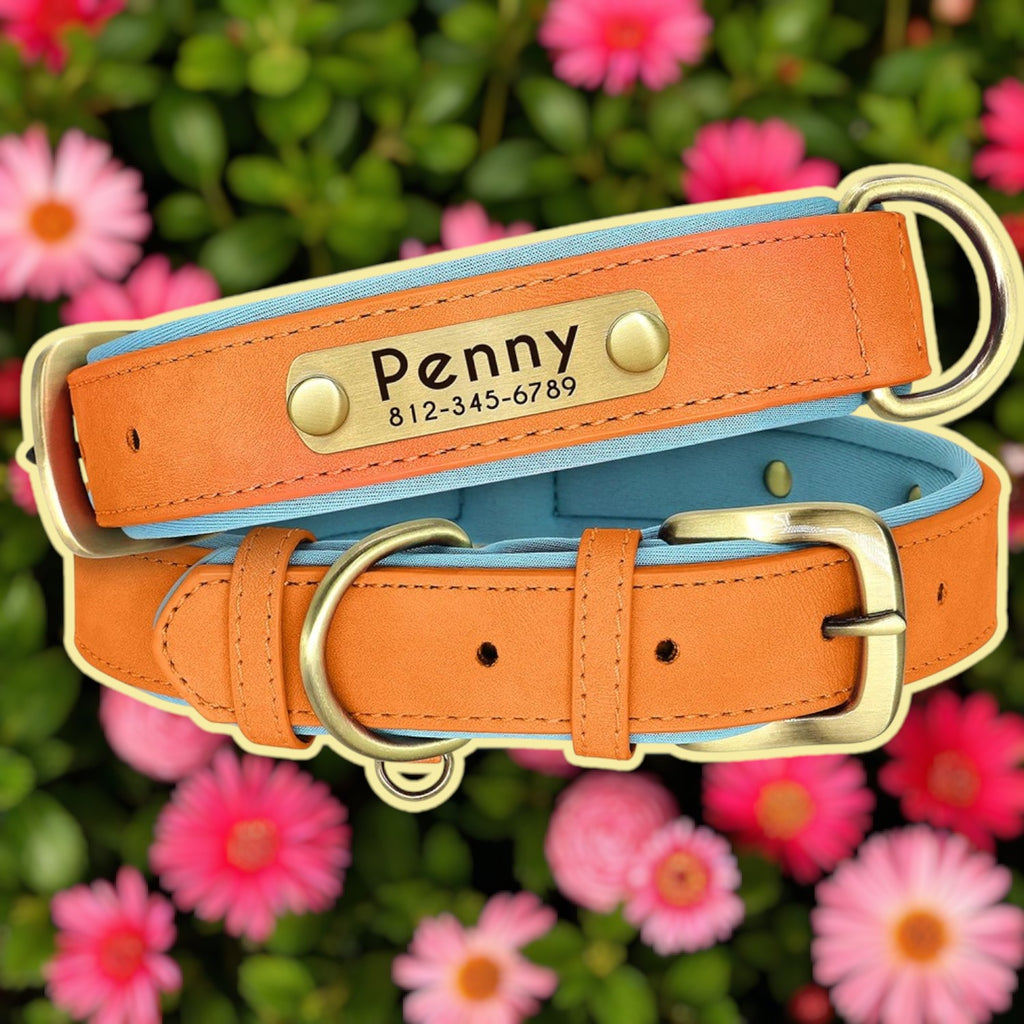 Collier personnalisable cuir chien