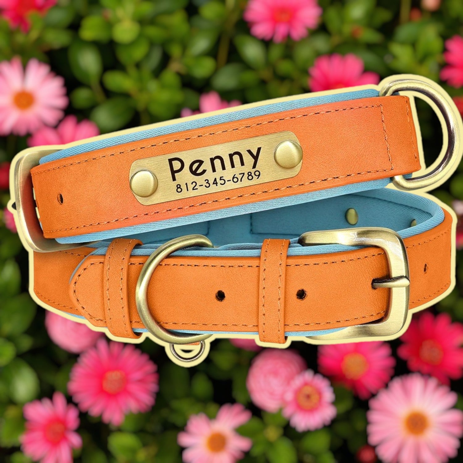 Collier personnalisable cuir chien