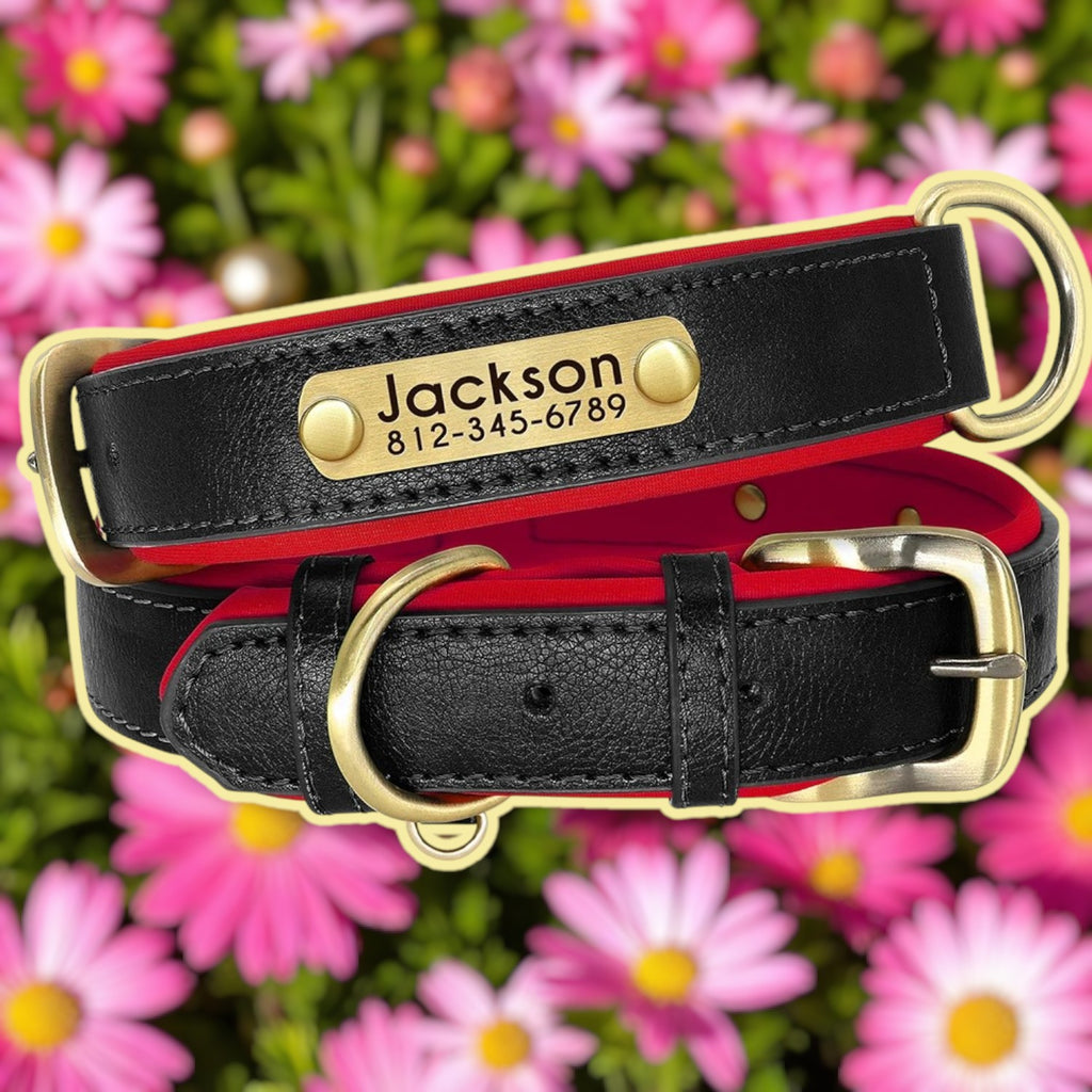 Collier personnalisable cuir chien