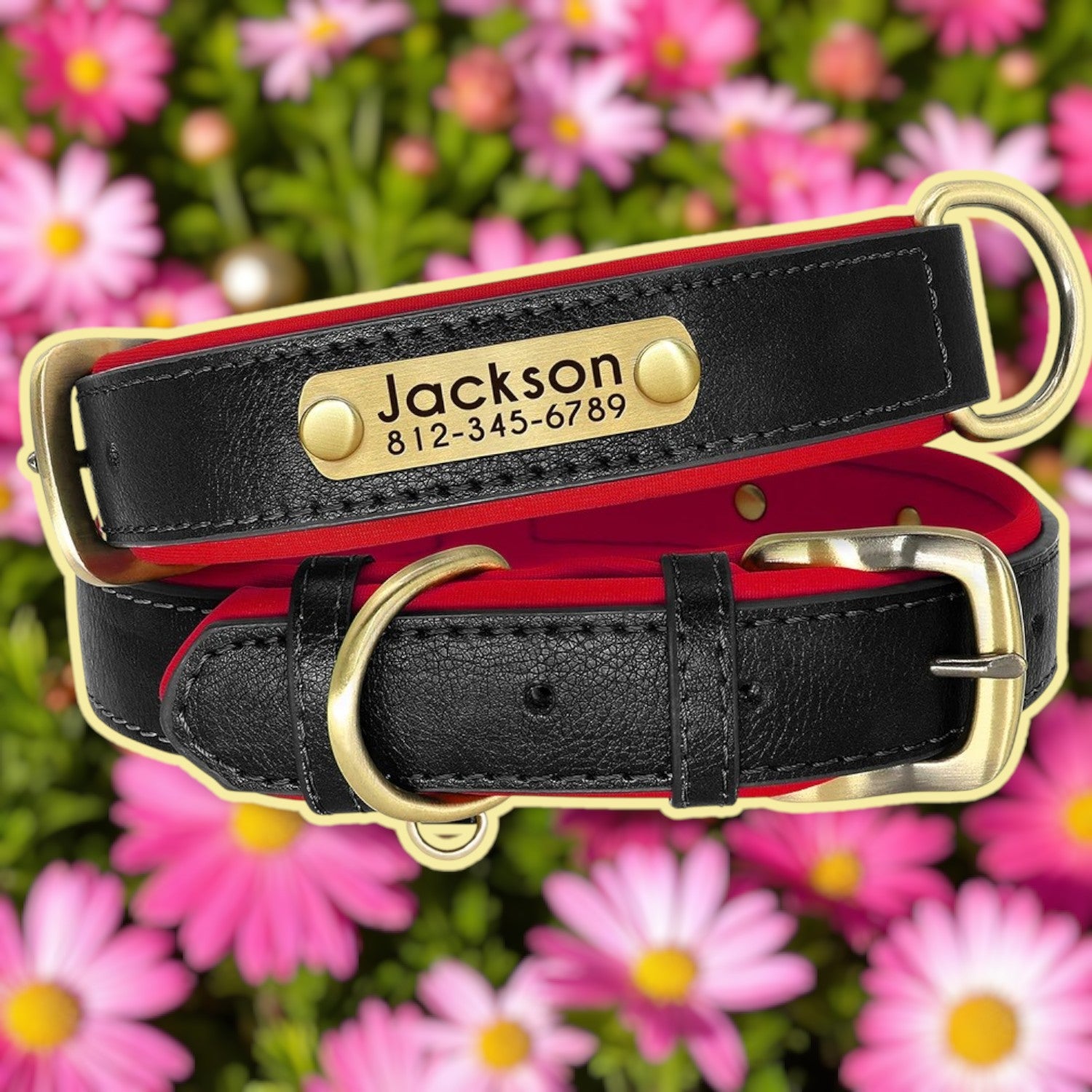 Collier personnalisable cuir chien