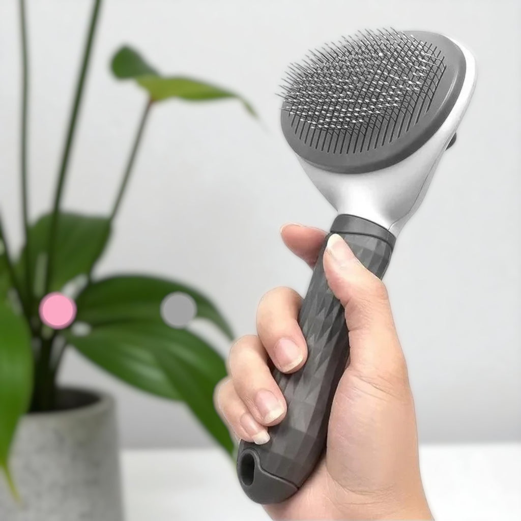 Brosse magique de toilettage