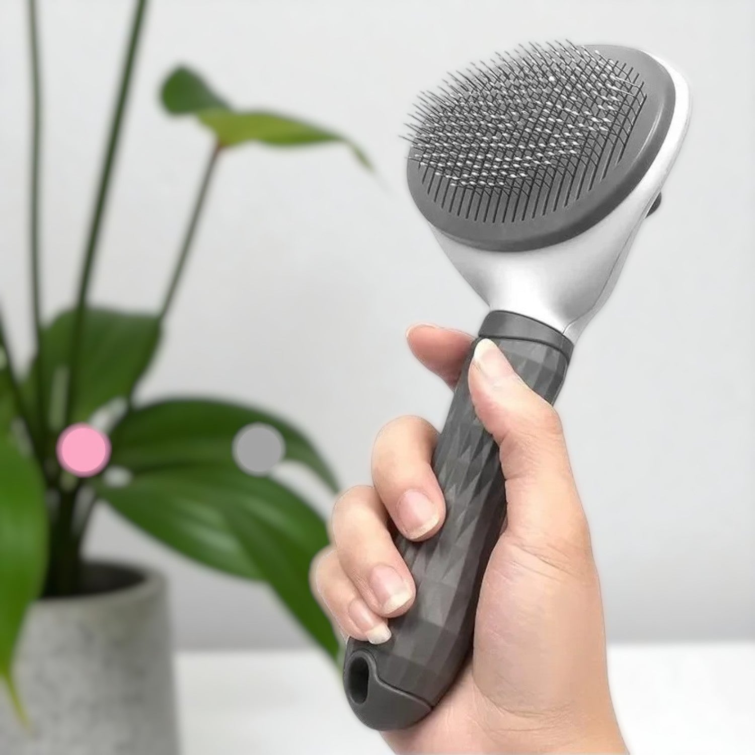 Brosse magique de toilettage