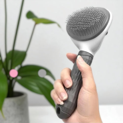 Brosse magique de toilettage