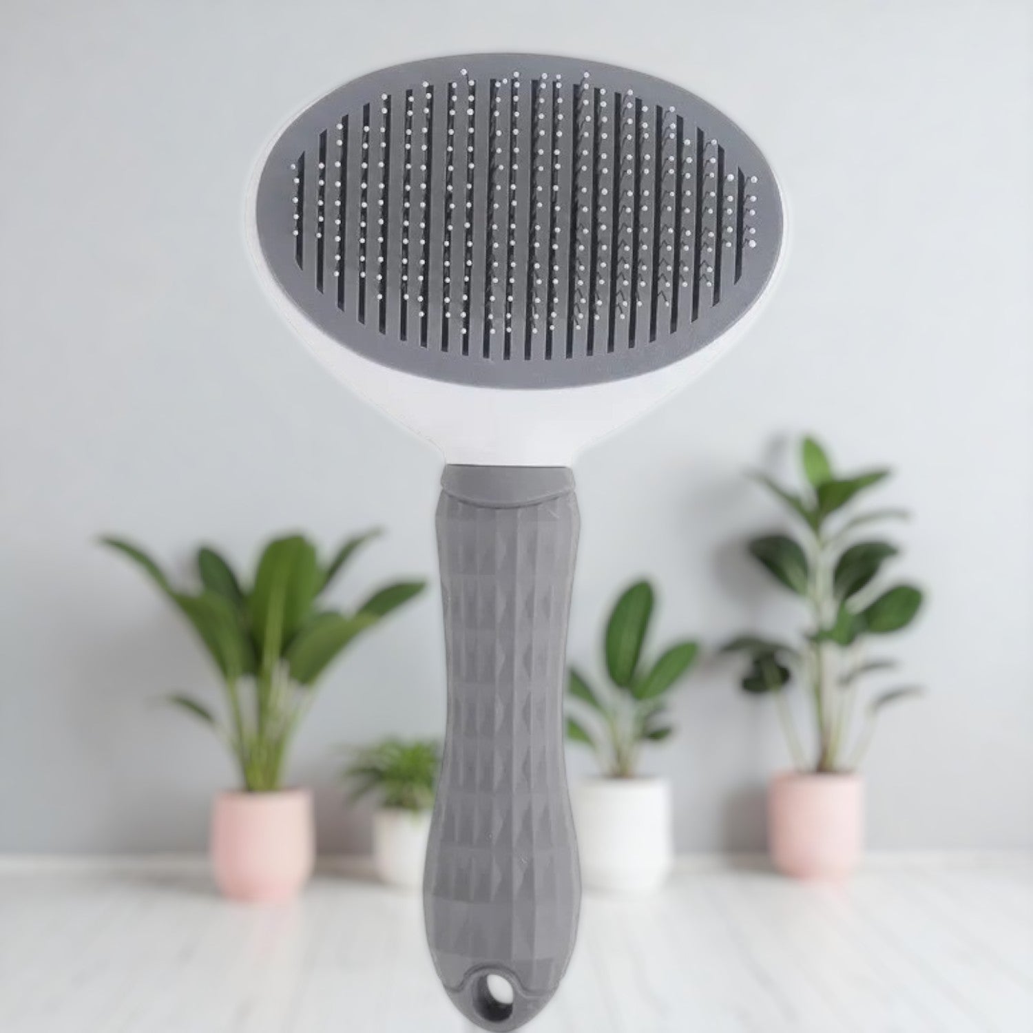 Brosse magique de toilettage